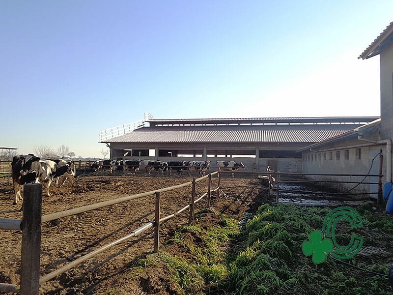 Bonifica amianto e realizzazione nuova copertura in pannello grecato rosso coibentato per immobile agricolo a Pavia