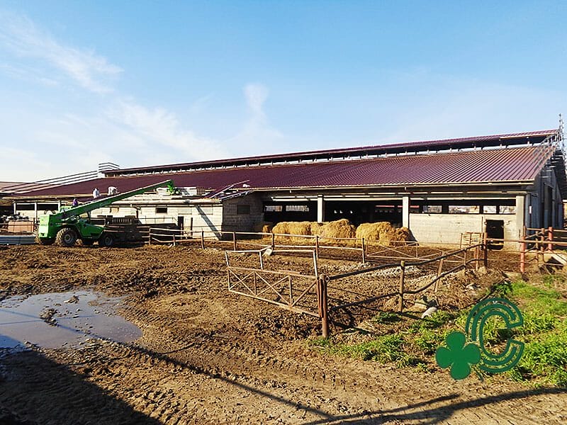 Bonifica amianto e realizzazione nuova copertura in pannello grecato rosso coibentato per immobile agricolo a Pavia